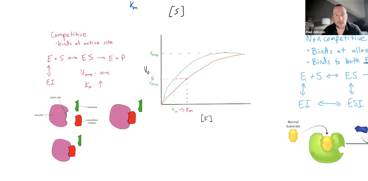 Content tutoring session example